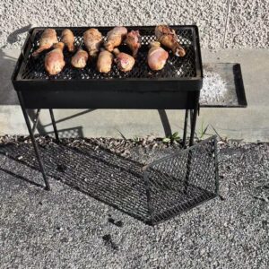 Portable 4-6 person home and camping grill