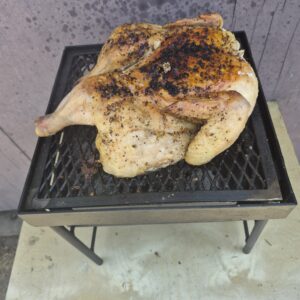 Portable 2-3 person charcoal grill